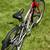 26” Trek 800 Sport 21 Speed Mountain Bike Like New Mint Condition 8 thumbnail