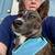 To good home Beautiful 3 year old pitsky for a small fee 5 thumbnail