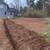 Small Tractor Work-Brush Clearing, Bush Hogging, Driveways +more 7 thumbnail