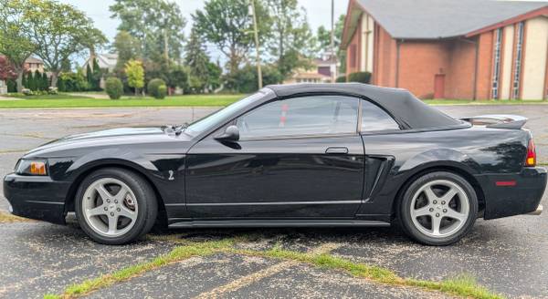 1999 Mustang Cobra Convertible - $13,500 (Saint Clair Shores)63488136992641121
