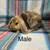 Bunnies 7 thumbnail