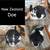 Meat Rabbits 1 thumbnail