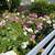 Very Quiet, Private In-law Garden Studio 14 thumbnail