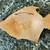 Wall hanging angel fish 2 thumbnail