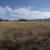 1 Acre Lot of Land in Sun Sites (Sunsites), AZ 85625 8 thumbnail
