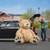 Huge Plush Teddy Bear - 8 Feet Tall 3 thumbnail