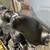 2010 Harley-Davidson FLHX - Street Glide 15 thumbnail