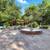 Welcome to luxurious home in the Heart of Saratoga ! Ready to move in 20 thumbnail