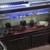 Aquariums for sale all sizes 15 thumbnail