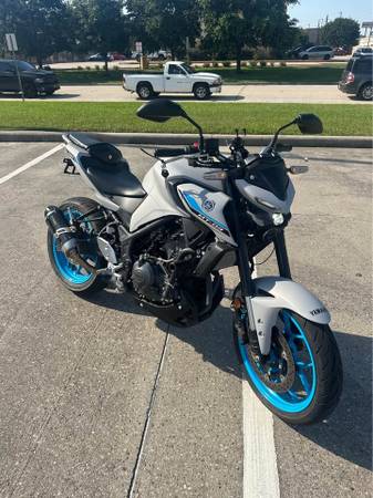 2025 YAMAHA MT03