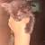 Kittens available for a $20 adoption fee 8 thumbnail