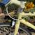 Felt Curbside Bike Like New 14 thumbnail