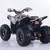ATV-Quad  New-Kids Sport  125-EFI  Green Sticker 6 thumbnail