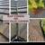 GUTTER CLEANING ☂ guard installation 💧Roof Gutter leak Repair ☂CARPET 4 thumbnail