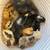 BABY EASTER EGGER CHICKS 2 thumbnail