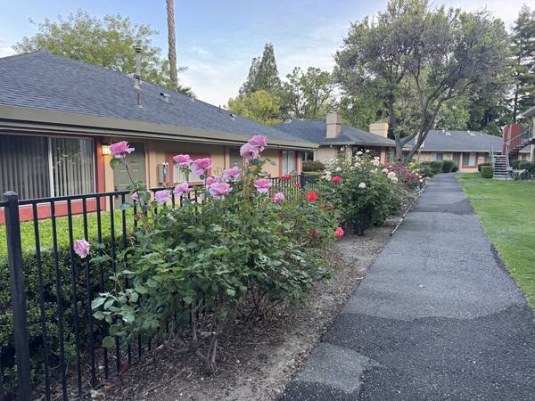 $1,950 / 2br - 1250ft2 - 5-Month Lease Oct 2025-Feb 2026, 2BR/2BA in West Davis (West Davis)63919496498947122