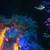 Coral Frags 7 thumbnail