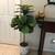 Live-like Artificial silk Fiddle Leaf Tree 1 thumbnail