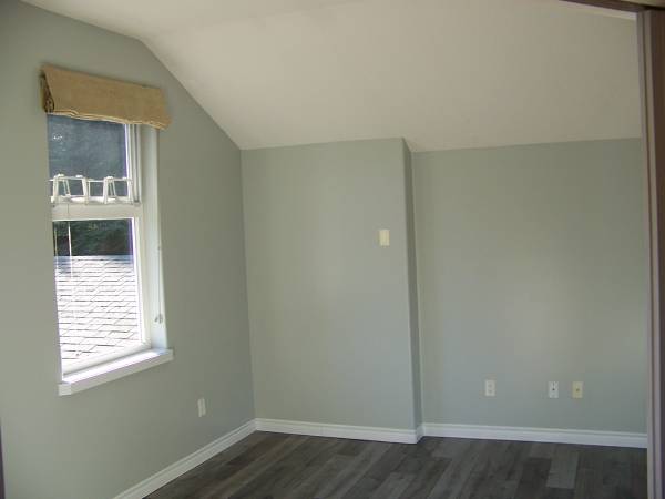 Bright 1 Bedroom Suite 3