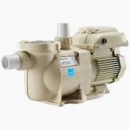 Swimming Pool Pump/Motor 1