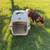 Dog Crate Crates Kennel Cat Carrier NEW 10 thumbnail