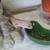 Leopard Gecko 1 thumbnail