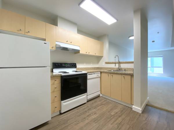 $1,741 / 513ft2 - 💎 Rare Find in Bellevue | 513 Sq Ft L-Shaped Studio Available Now (Downtown Bellevue, Eastside, Microsoft, Overlake, Amazon)63884778427009121