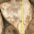 Cottonwood Round Slabs 2 thumbnail