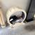 🐾 Kitty Treadmill / Cat Exercise Wheel – $125 (Pristine Condition) 1 thumbnail