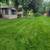 Miguel's yard clean up.mowing.gutter.cleaning 14 thumbnail