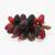 Vintage 1960s Lucite Red Berries Raspberries with Driftwood MCM Decor 8 thumbnail
