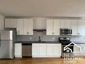$2,600 / 3br - 1500ft2 - Brand-New REHAB; 3-bed, 2-bath in amazing PILSEN LOCATION (avail now!) (Chicago)63960011293314120