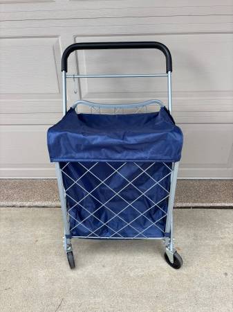 FOLDING SHOPPING CART WITH LINER AND COVER 1