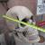 Large fiberglass skull 2 thumbnail