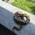 Ball python 1 thumbnail