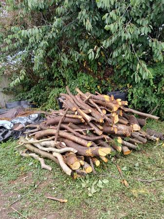 Cherry wood 1