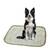 Eco Friendly,Washable Re-Usable Pee Pee Pads for Pets - XL 30" X 32" 1 thumbnail