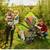 EVENFLO Wagon Infant Attachment 7 thumbnail