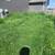 Miguel's yard clean up.mowing.gutter.cleaning 17 thumbnail
