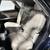 2018 Lexus RX  RX 350L Sport Utility 4D SUV 14 thumbnail