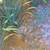 Serigraph painting of lilies around a pond large frame (42"x54") 5 thumbnail