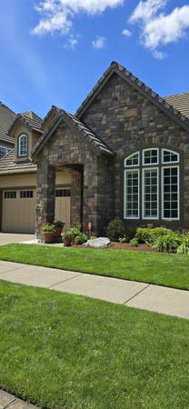 PAINTING PROFESSIONAL 1