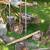 Antique Rustic Primitive Farm Barn Porch Decor 4 thumbnail