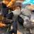 Roosters and hens 11 thumbnail