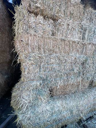 Sudan grass hay wheat grain three way hay alfalfa cows goats sheep 1