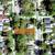 Nice Vacant Residential Lot- Prime Neighborhood!!! 3 thumbnail