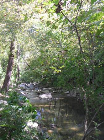 $1,650 / 3br - 1456ft2 - 3 Bedroom 2 Bath home on large wooded lot (Hollister, MO)63754856176513121