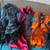 Must see so much stuff nice need gone!!!! 4 thumbnail