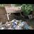 $$$$JUNKMOVE$199+DEMOLITION$399+TREECUT:BIG$1300+/SMALL$399+$$$$$$$$$$ 5 thumbnail