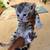 Bengal 13 thumbnail